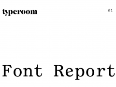 times new roman essay format